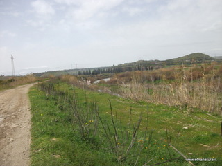lle del Simeto-24-02-2013 12-32-05